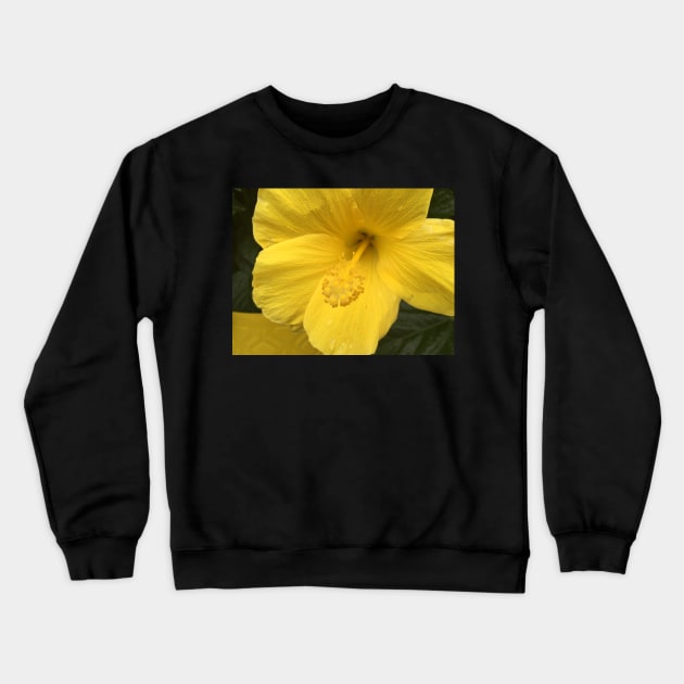 Atlanta, GA.  -- Spring Blooms I Crewneck Sweatshirt by zwrr16